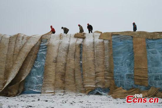 A machine removes ice cubes ahead of the construction of the 26th Harbin Ice-Snow World in Harbin, northeast China's Heilongjiang Province, Nov. 26, 2024. (Photo: China News Service/Yu Kun)