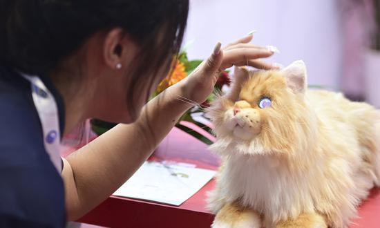 Simulated AI pets gain popularity among Chinese consumers