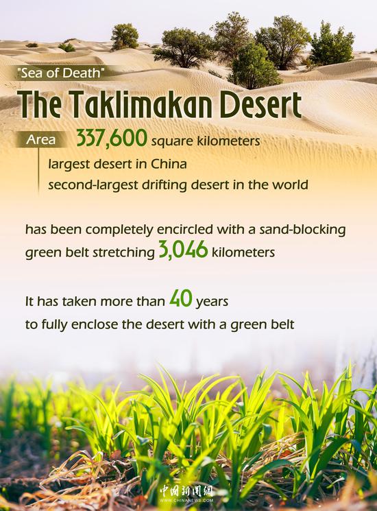 China's largest desert encircled by 40-year green barrier project