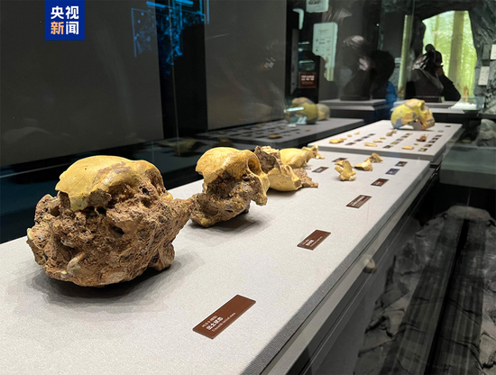 300,000-year-old human fossils from E. China identified as earliest archaic humans to transition toward modern Homo sapiens