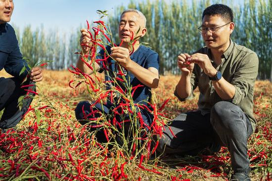 Chinese scientist Lu Qi wins 2024 Champions of the Earth award