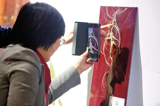 Expo shows innovative ginseng products