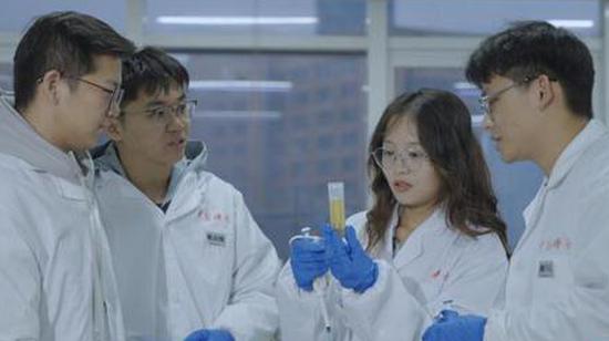 Chinese team transforms straw into new bio-based high-fiber food thickener