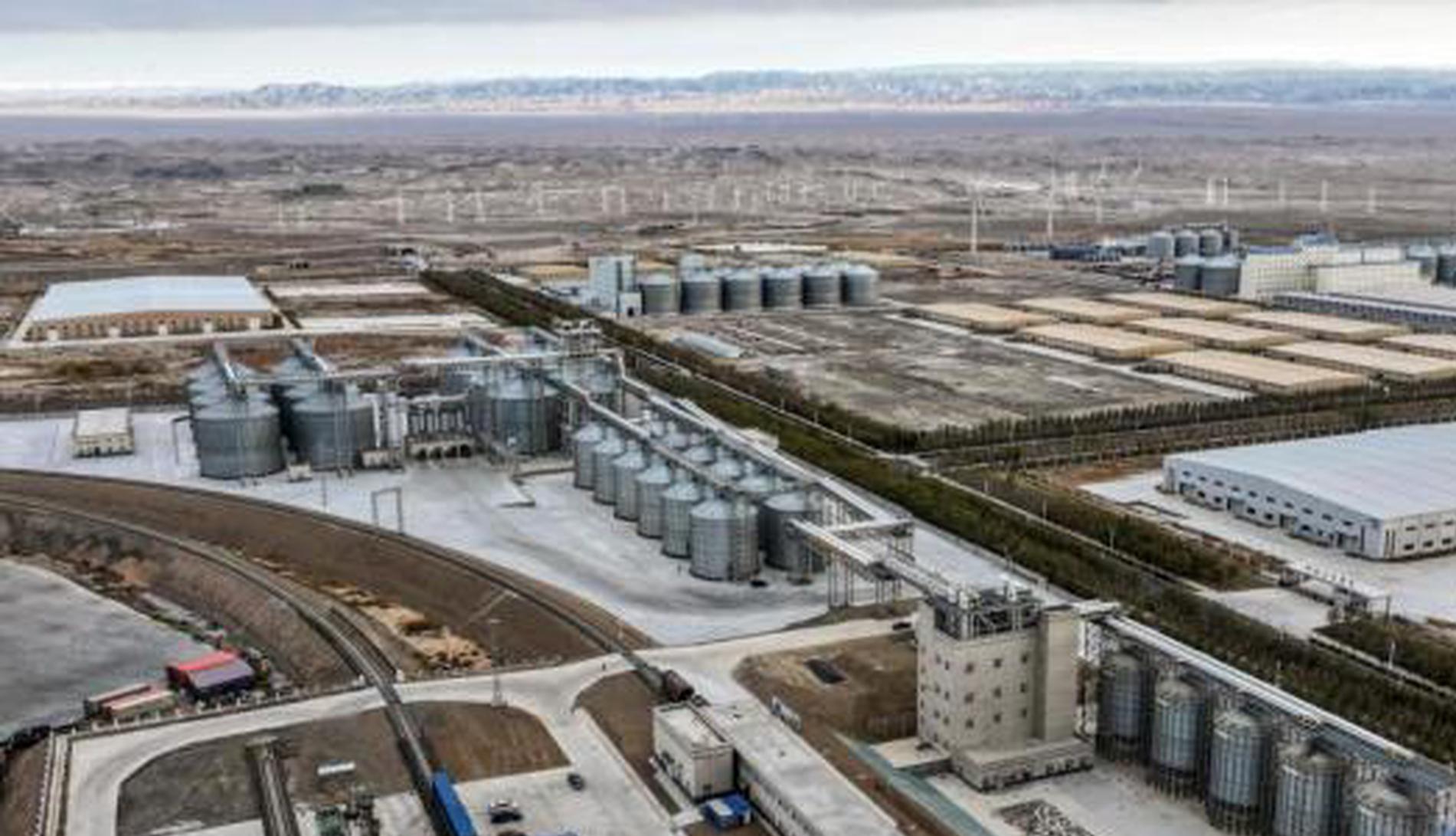 China's Xinjiang makes new breakthrough in grain output