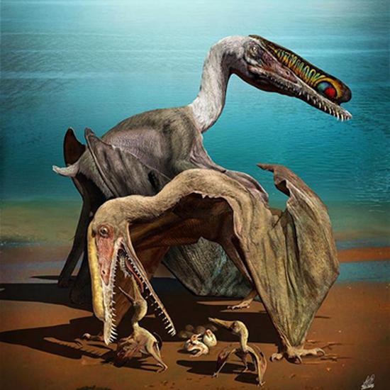 Chinese research team proposes new ichnospecies, links pterosaur footprints in Xinjiang