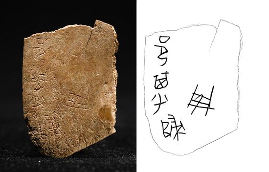 Inscribed oracle bone found for first time in Shaanxi