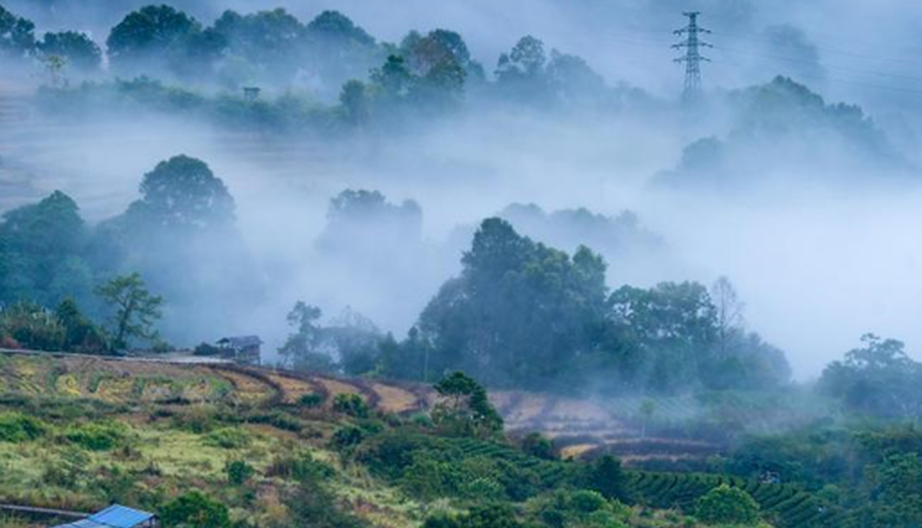 First natural observation event in SW China's Medog records over 1,000 species