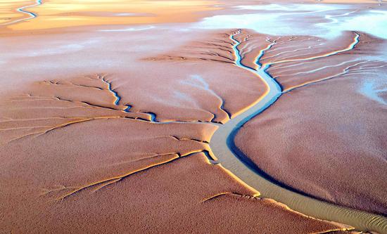 Tidal creeks at Yellow River estuary form stunning scene in winter