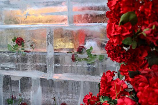 Frozen roses attract crowds in NE China