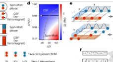 Chinese scholars discover novel quantum state of matter