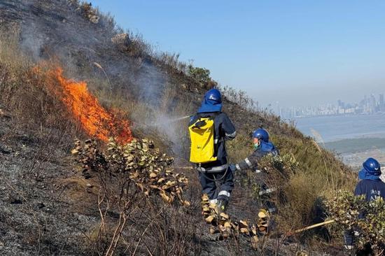 Hong Kong wildfire nearly out, no casualties reported