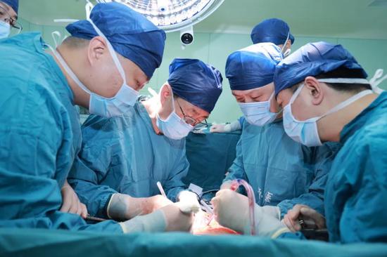 Chinese surgeons transplant world's first full pig liver into human