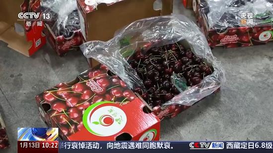 20,000 metric tons of Chilean cherries arrives in China ahead of Spring Festival