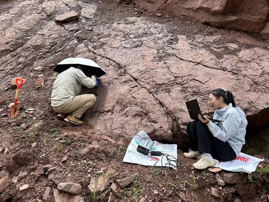 Scientists recently discovered the world's smallest known sauropod dinosaur footprints in eastern Xizang autonomous region. (Photo provided to chinadaily.com.cn)