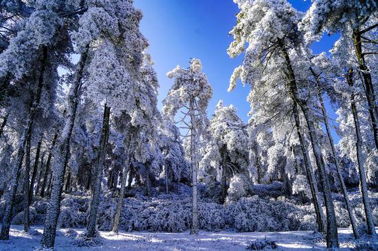 Rime creates fairyland in national forest park