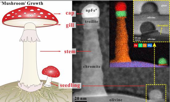 Mushroom-shaped crystal growth pattern in Chang'e-5 lunar samples (Photo/Courtesy of Guangzhou Institute of Geochemistry, Chinese Academy of Sciences)