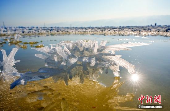 'Mirabilite flowers' blossom in north China salt lake