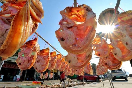 Redfish, an indispensable delicacy during Spring Festival in Hainan