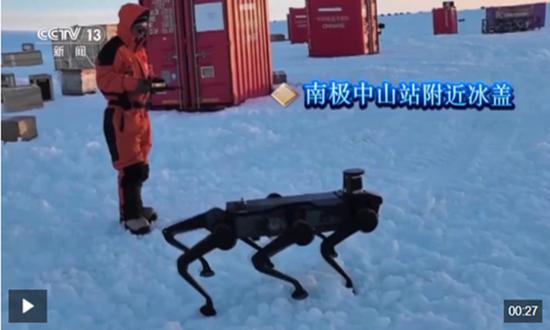 China's domestically developed six-legged robotic dog debuts in Antarctica