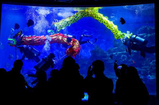 Central China's Hubei stages underwater dragon dance to welcome Spring Festival