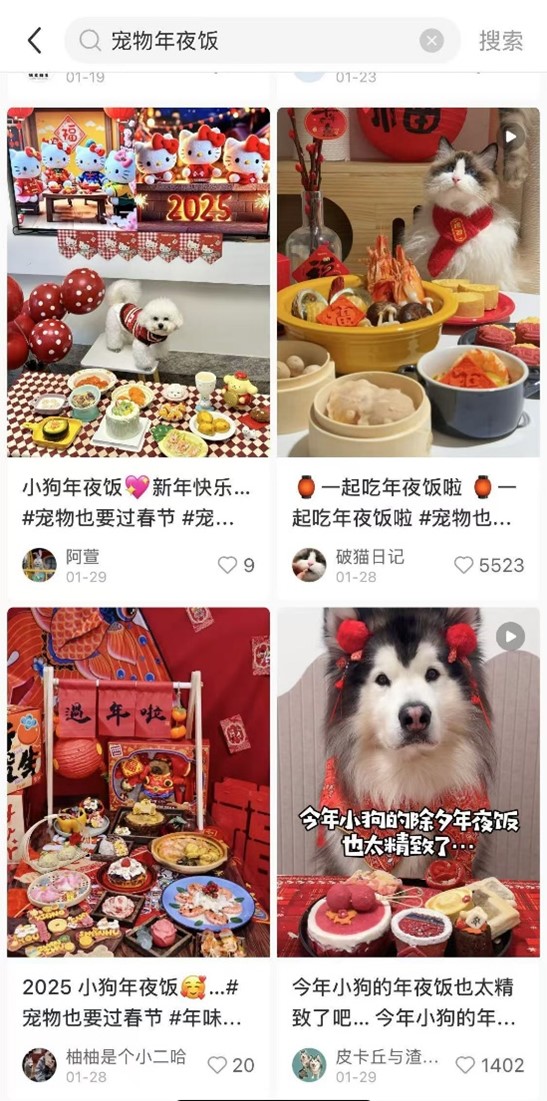 (Screenshot from RedNote after searching