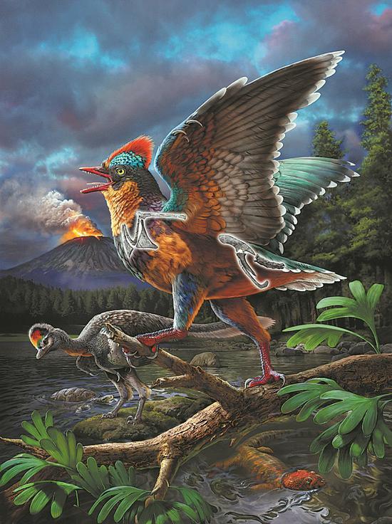 Jurassic bird fossils found in Fujian rewrite history of avian evolution