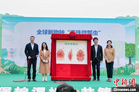 Guangdong releases new insect species found in 2022