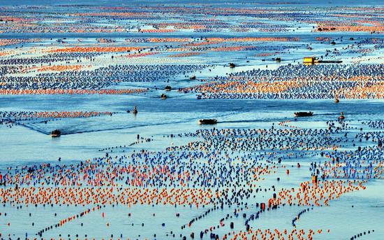 China's marine economy exceeds 10 trillion yuan in 2024
