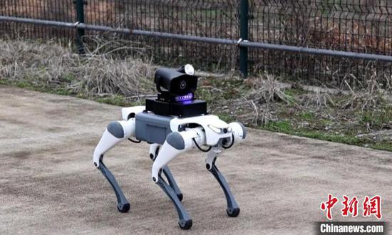 A quadruped robot with high-speed movement and flexible climbing capabilities works at Jiande Qiandaohu Airport in Hangzhou. (Photo/Jiande Qiandaohu Airport)