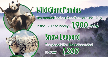 World Wildlife Day: China's wild species population grows steadily