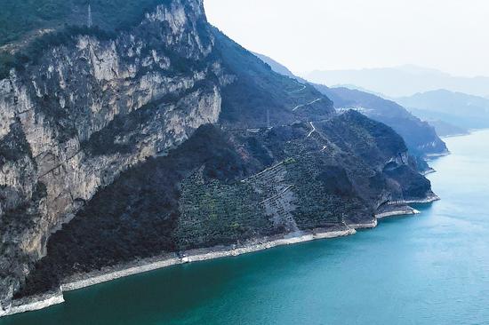 'Puppy Mountain' in Hubei province creates social media buzz