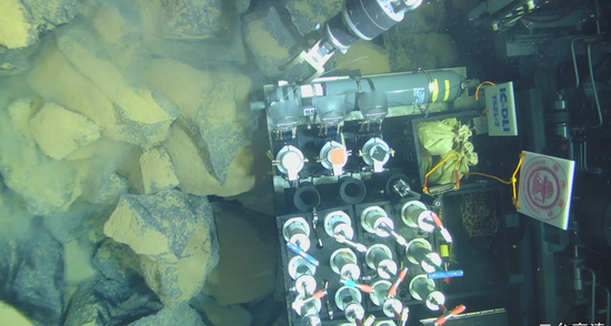 Chinese researchers find thousands of new species in deepest part of ocean