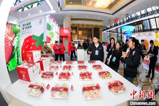 The 10th International Strawberry Congress is held in Yancheng, east China's Jiangsu Province, March 17, 2025. (Photo/China News Service)
