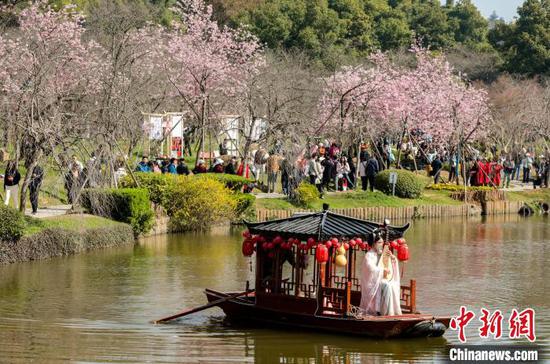 Tourists enjoy cherry blossoms in Wuhan on March 18, 2025. (Photo:China News Service/Zhang Chang)