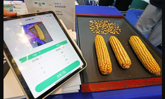 Chinese scientists expand AI in crops breeding to boost yield