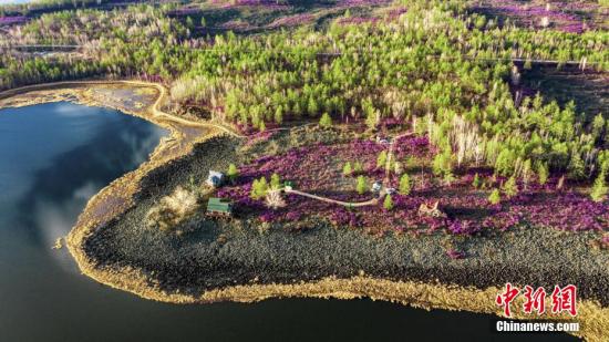 File photo shows scenery of the the Greater Khingan Mountains in north China's Inner Mongolia Autonomous Region. (Photo/China News Service)