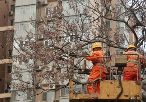 Beijing records strongest gale in April over a decade