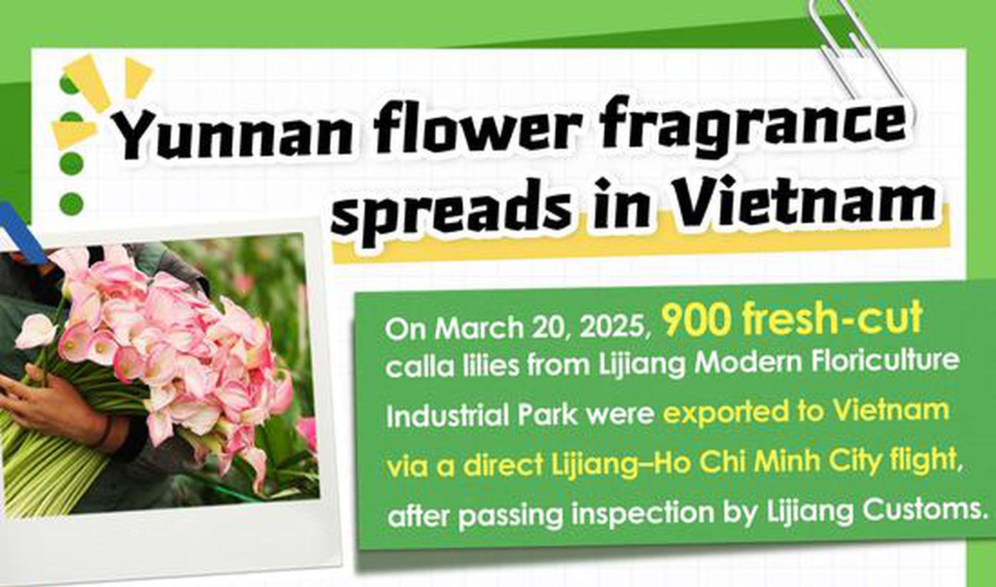 Yunnan flower fragrance spreads in Vietnam