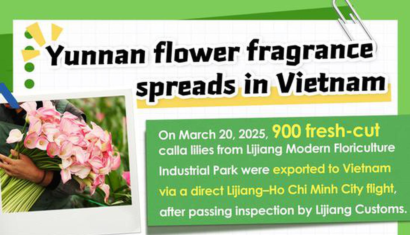 Yunnan flower fragrance spreads in Vietnam