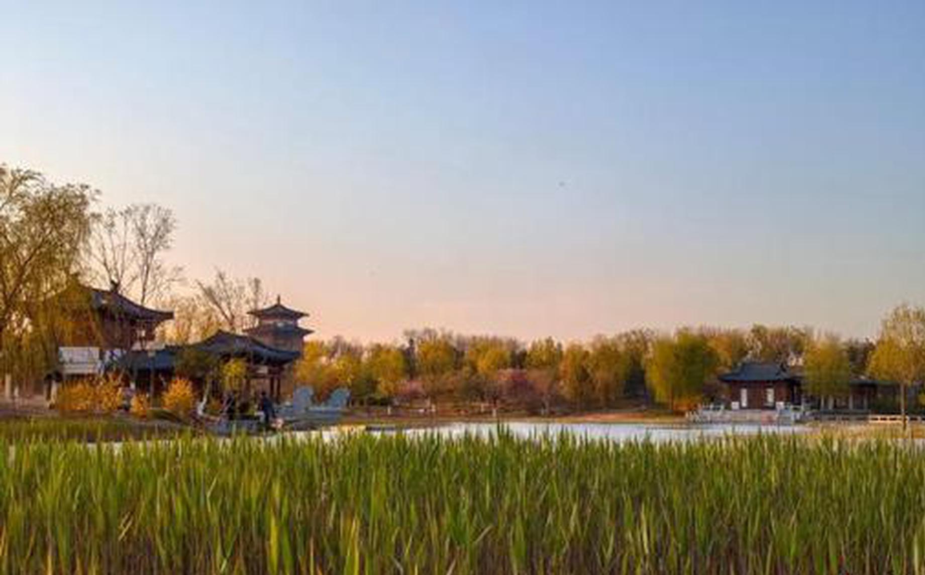 Green vision takes shape in Xiong'an