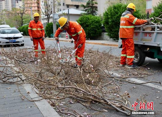Landscaping workers in Beijing's Fengtai District cleared tree branches broken by strong winds, April 12, 2025. (Photo: China News Service/Yi Haifei) Landscaping workers in Beijing's Fengtai District cleared tree branches broken by strong winds, April 12, 2025. (Photo: China News Service/Yi Haifei)