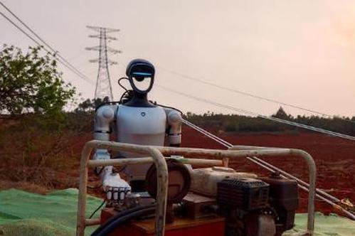 China's humanoid robots make debut in power grid construction