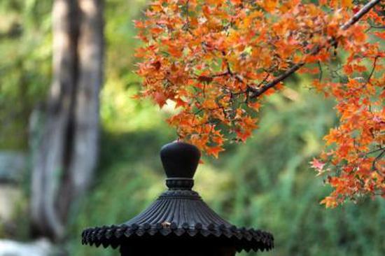 Navigator Meeting of the Beijing Xiangshan Forum to be held in Beijing