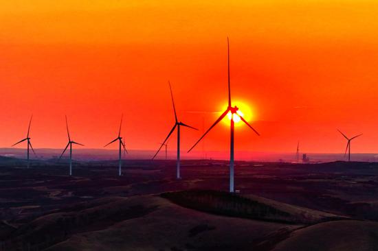 A wind farm seen in Hulunbuir, Inner Mongolia autonomous region. (WANG ZHENG/FOR CHINA DAILY)