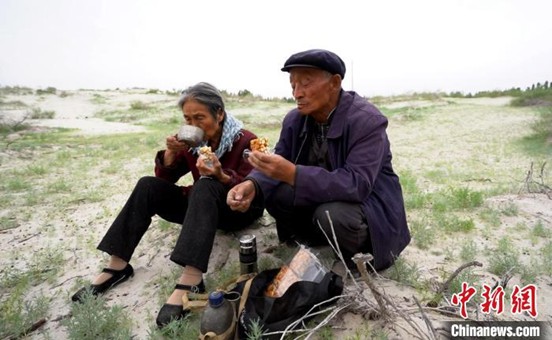 Fu Zhizhou and his wife began by planting tree branches into the sand—fighting the desert winds head-on. (File photo)