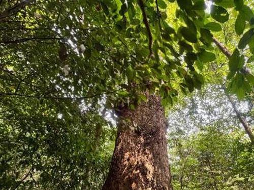 UNESCO biosphere congress to convene in China for first time