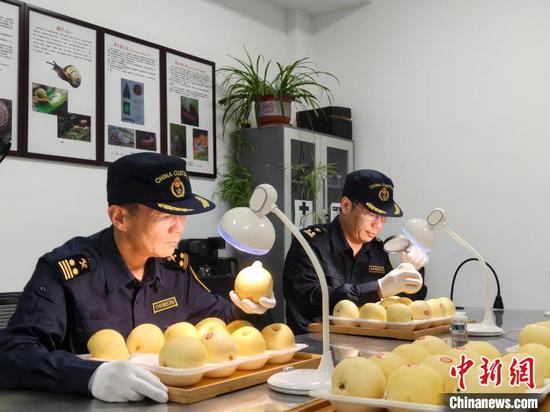 China exports fresh pears to Argentina