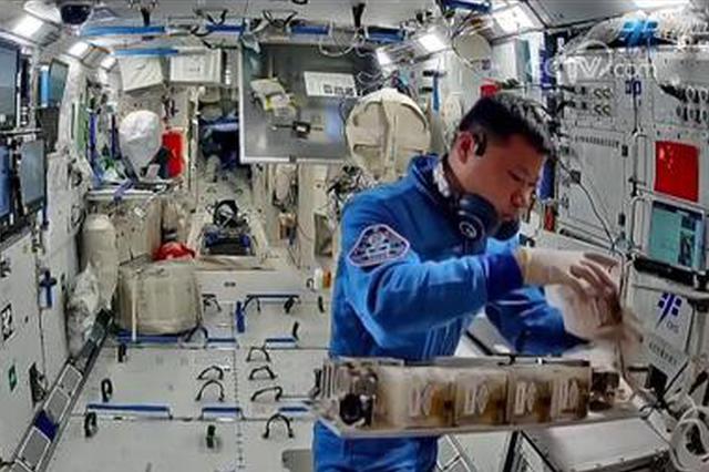 Shenzhou-20 crew conducts scientific experiments aboard China's space station