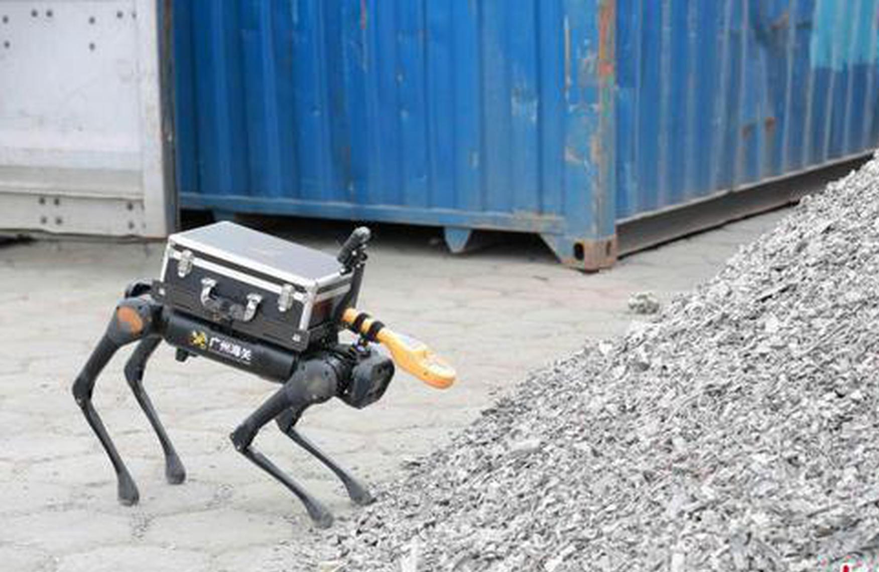 First robot dog to conduct radioactive cargo screening at key Guangzhou ports