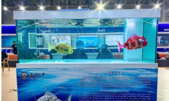 Picture of the bionic robotic fish. (Photo/Changjiang Daily)